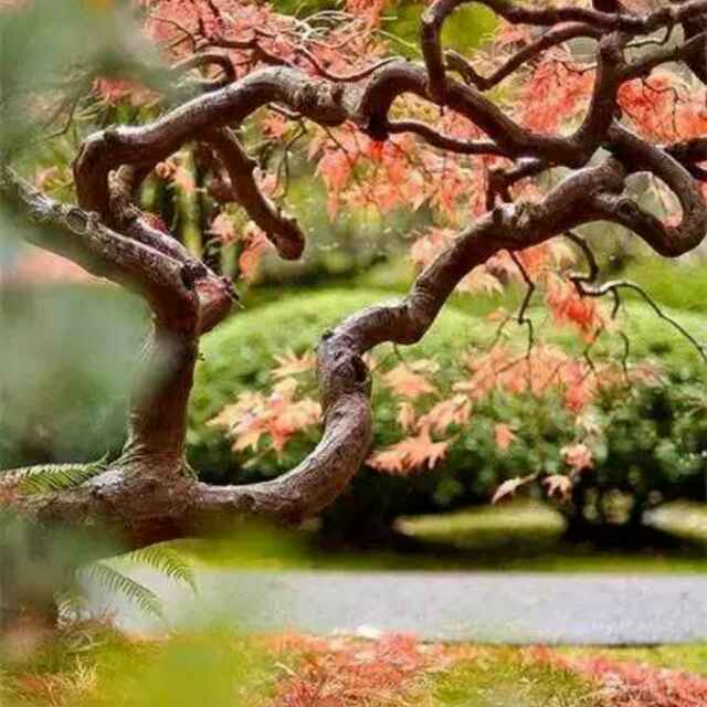 我爱我家