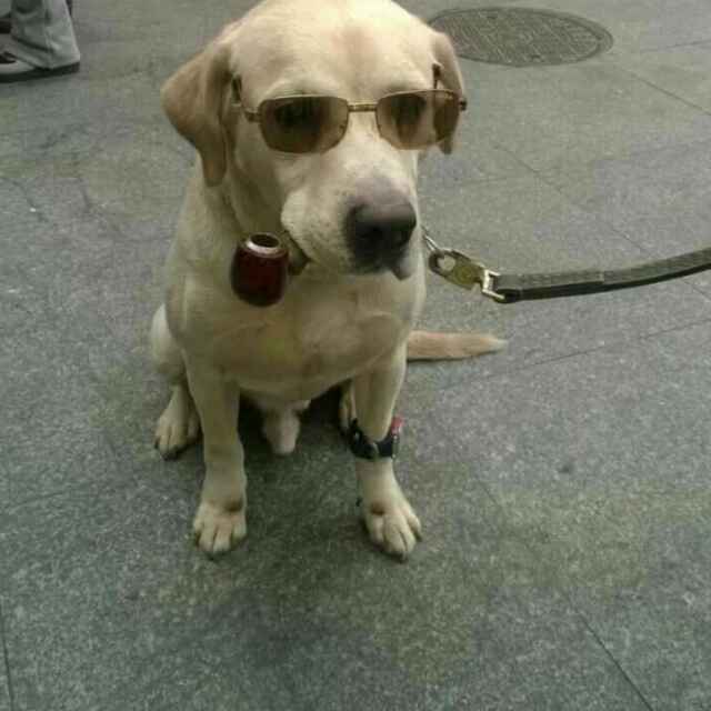 郭