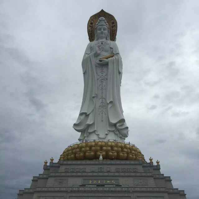 专旋PLB