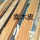 狼少年