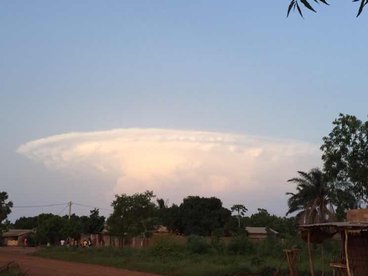 杨光