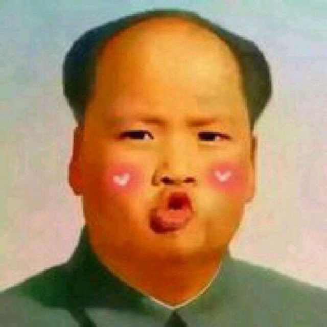 为了一条狗