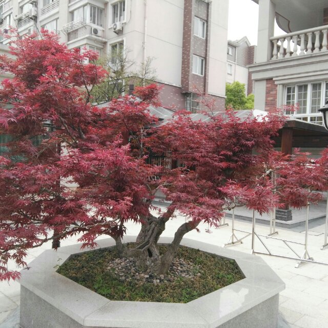 晟昊装饰