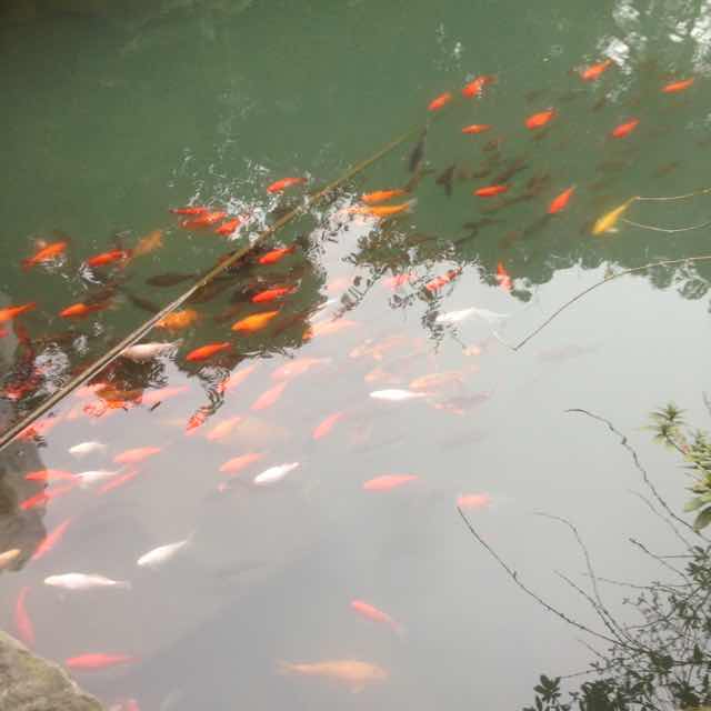 平凡北方人