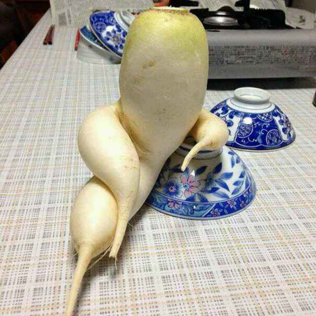 木乐
