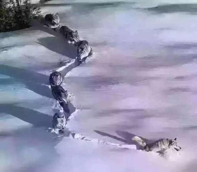 地主爷