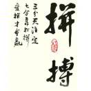 梦想成真11