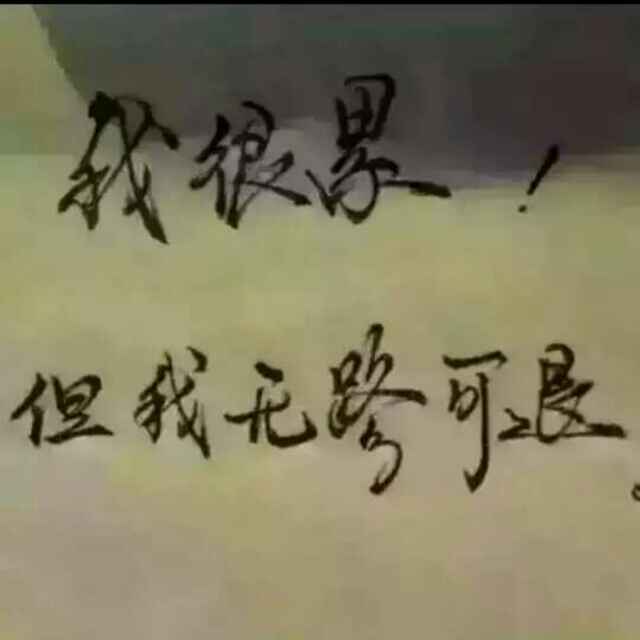 A橱柜门生产订做