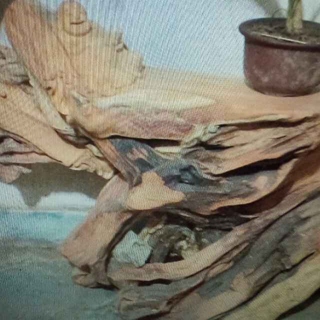 牵挂