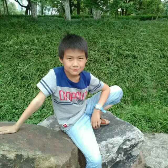 凤