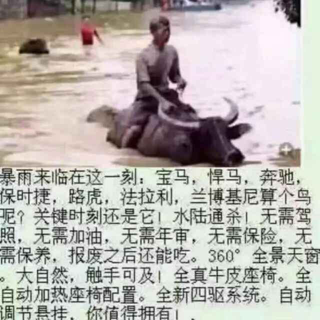 欧阳