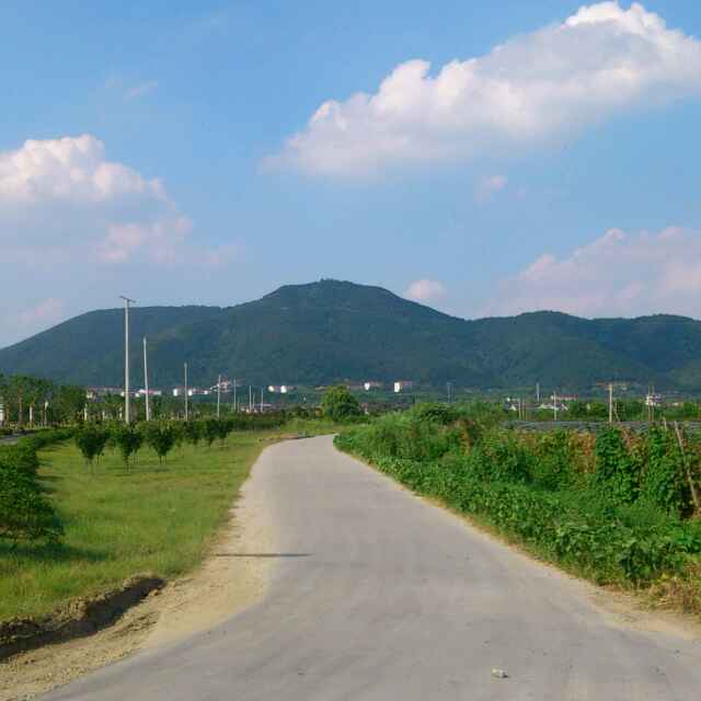 方寸纵横