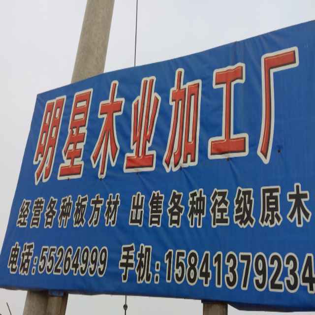 庞军