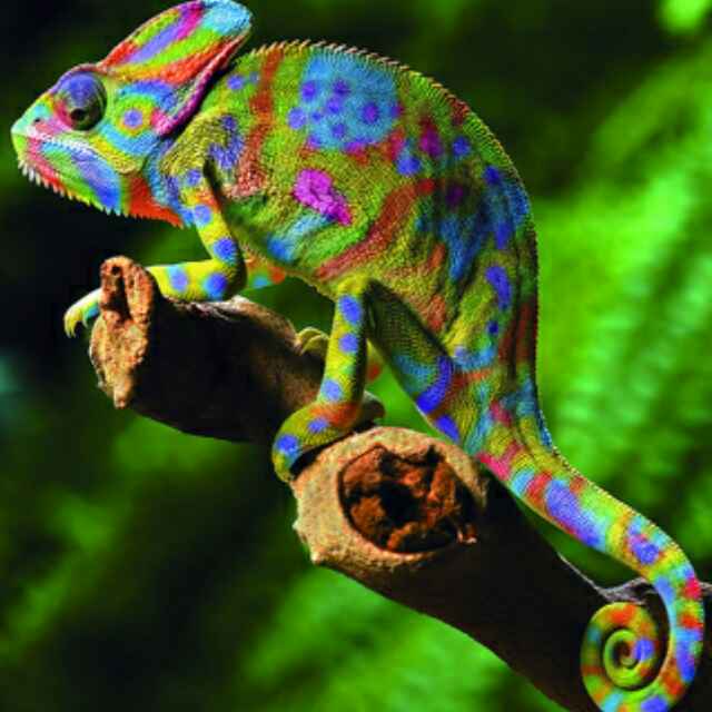 激荡三十年