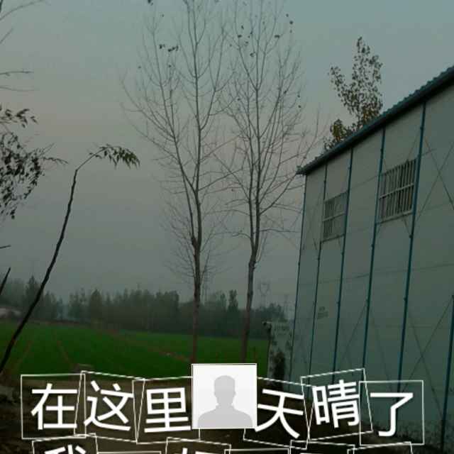 史登红