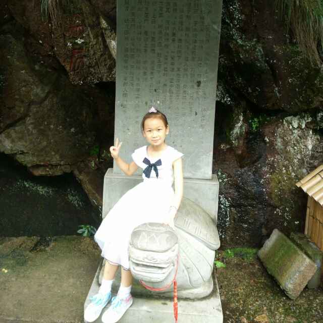 金龙木业