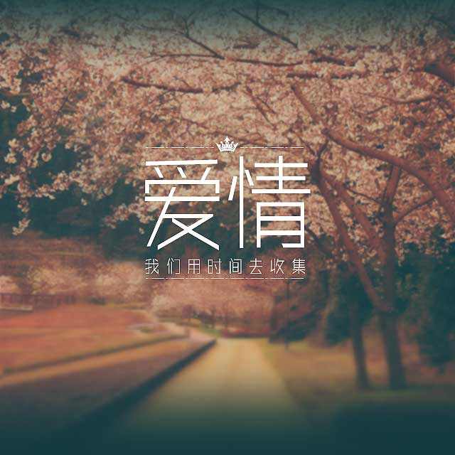 新泰卡通花束专卖