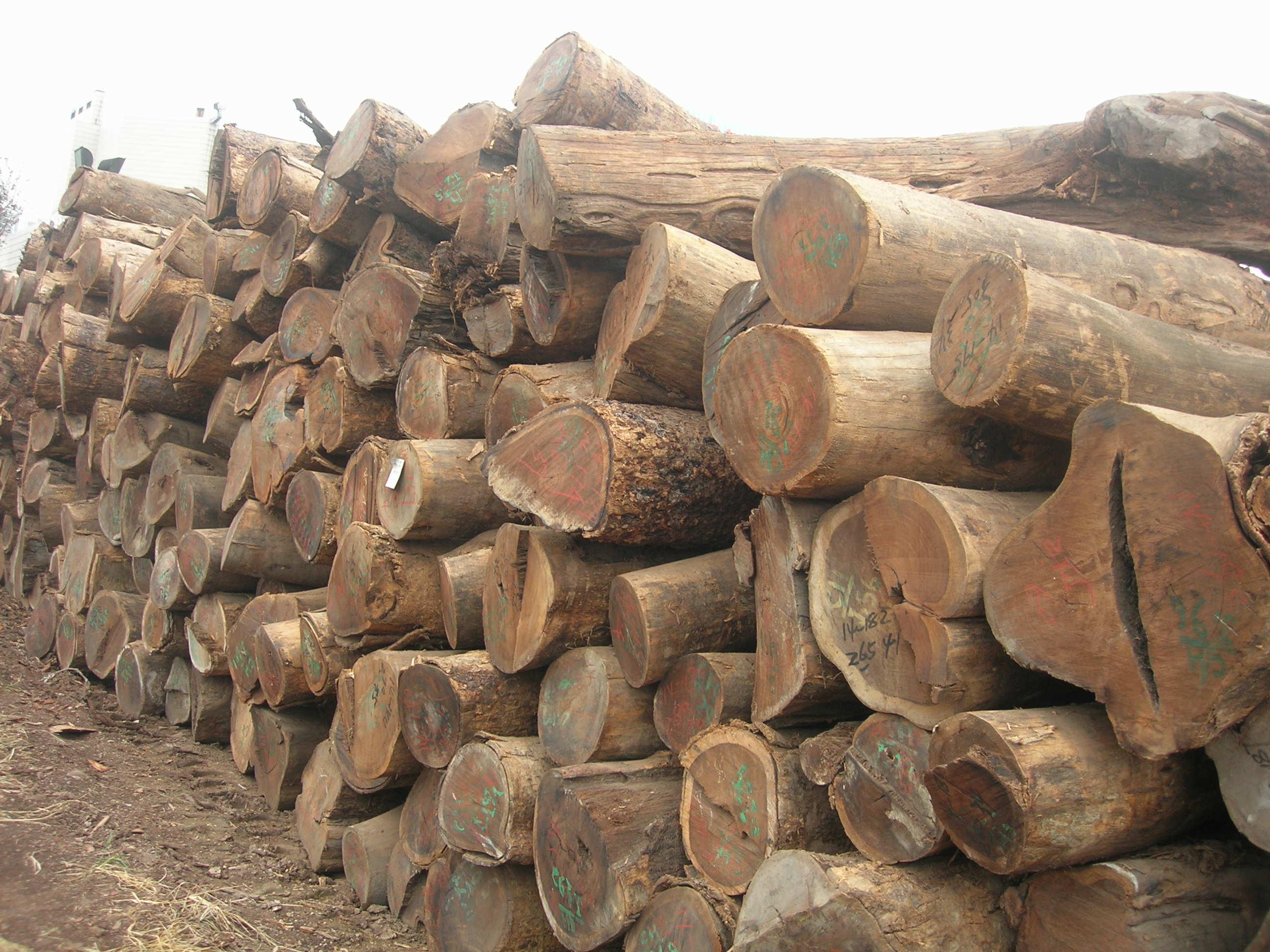 红木家具木材材质难辨别 消费者购买需谨慎【木材圈】