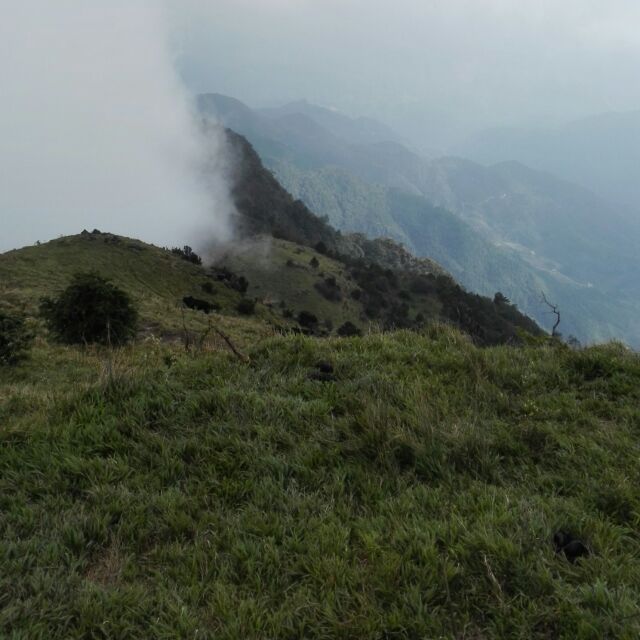 静以修身