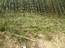鑫鑫木业农场18050205545