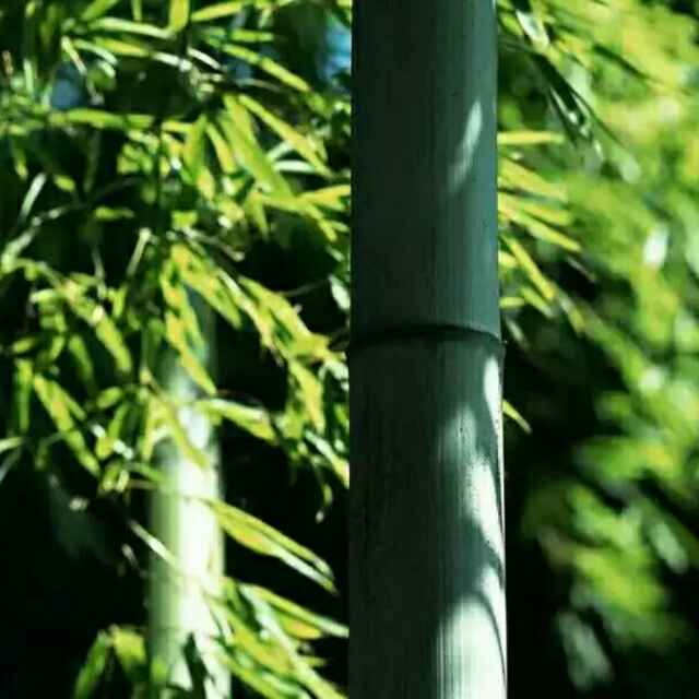 超