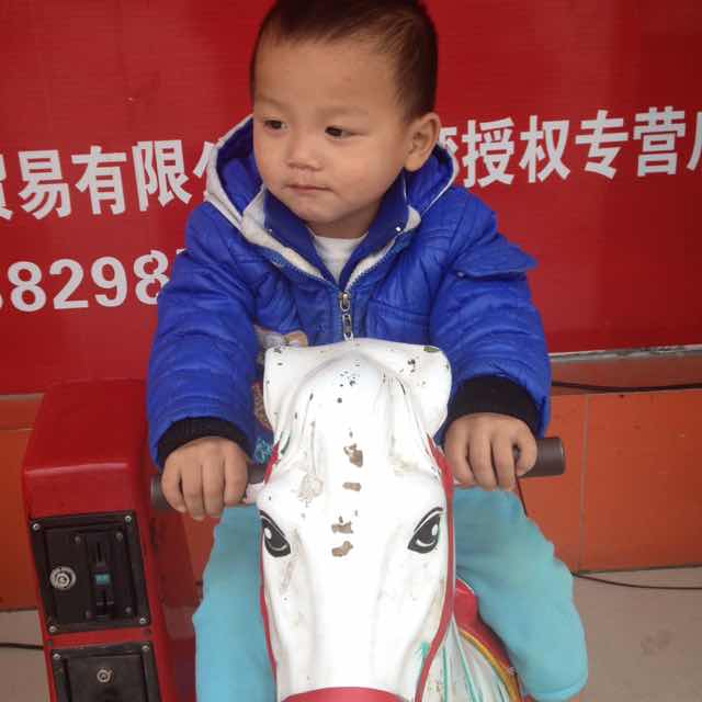 HoNG,LANG