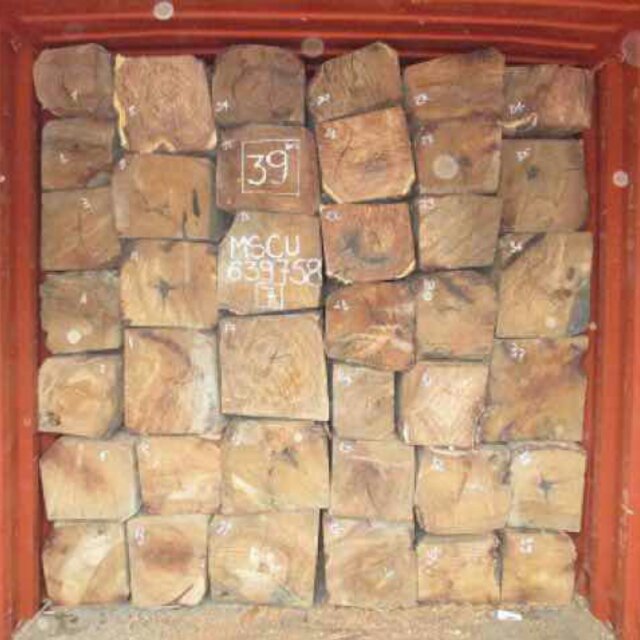 刺猬紫檩18813471908