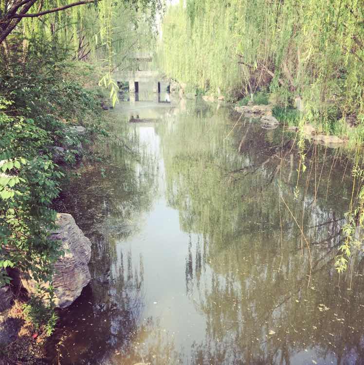 QingLin