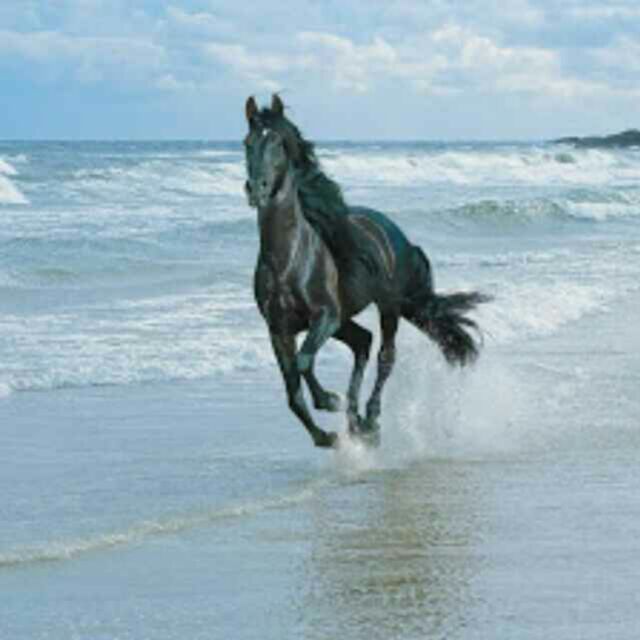 海有多深