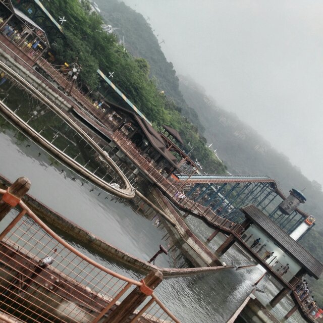 叶落知心寒