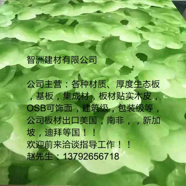 智洲建材，走向世界！！
