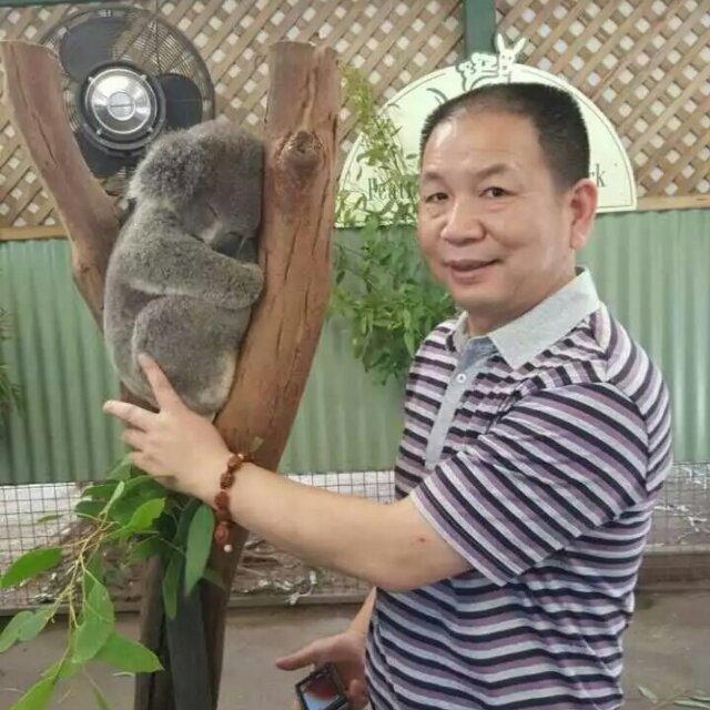 淼淼淼