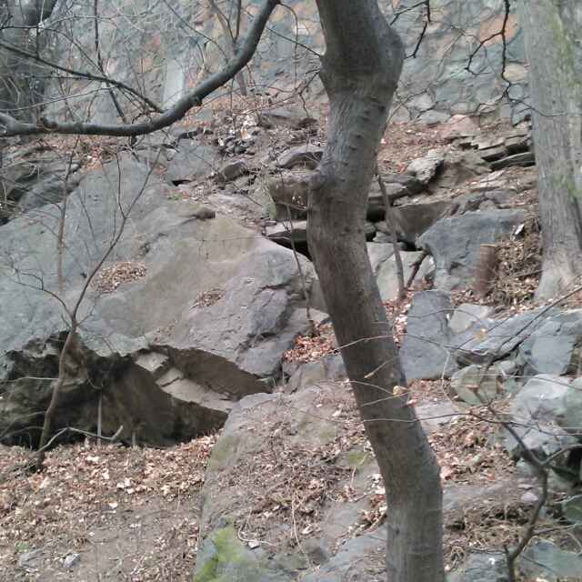 阳光181