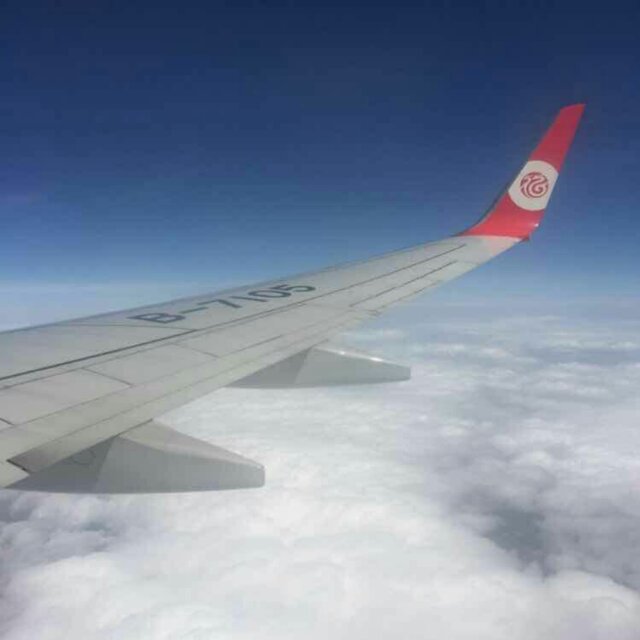 AAA批发木材