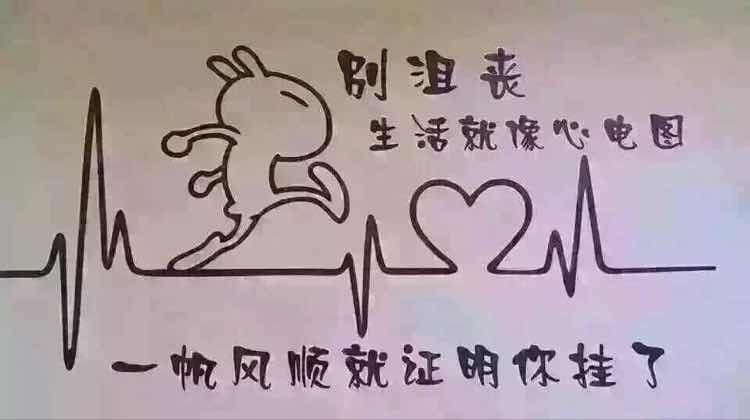 陈磊636