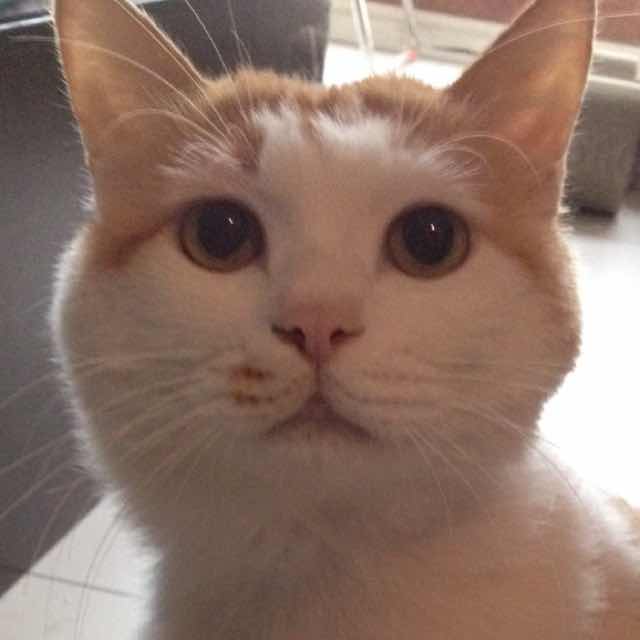 JK