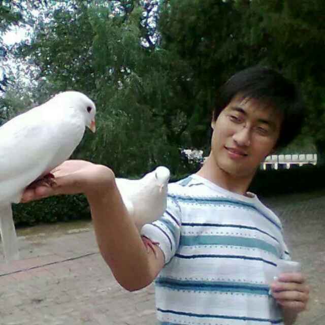 木子戈