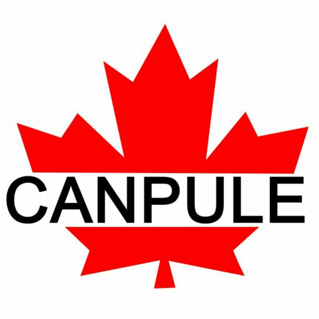Canpule互联网钢琴张文革