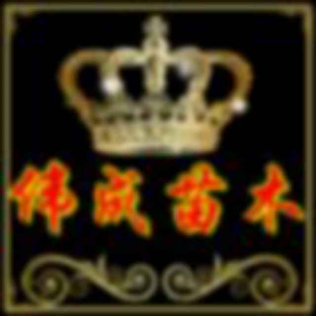 A000山东伟成苗木基地 18661593978497