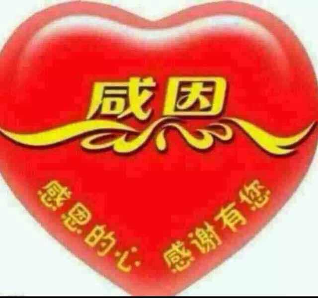 阳光友情