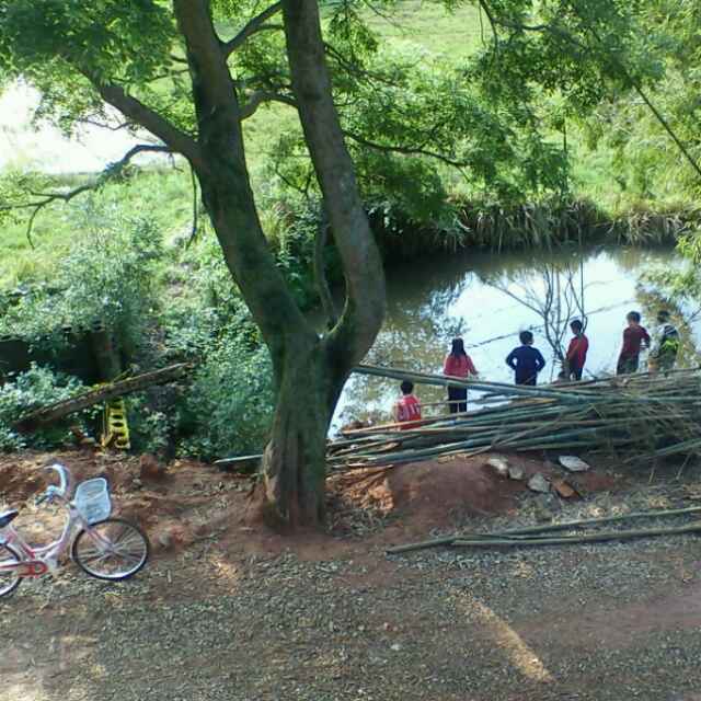 在路上260