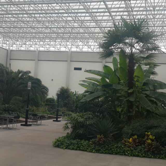自强不息503
