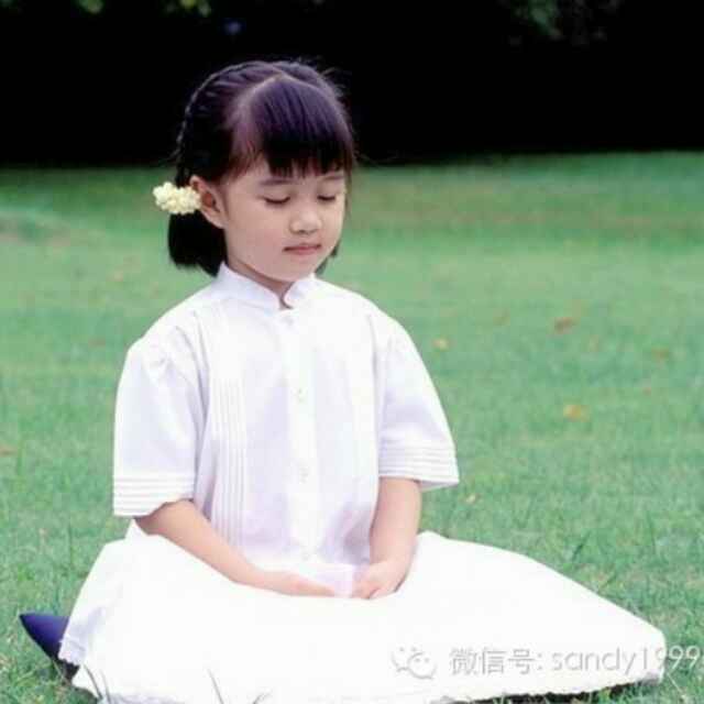 紫竹●禅月