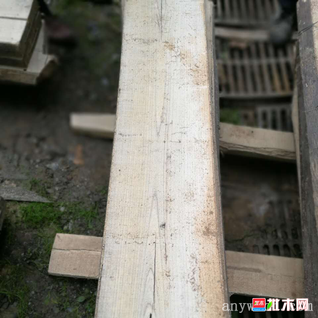 青桐木老料3到7年