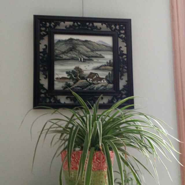 木恋瓷
