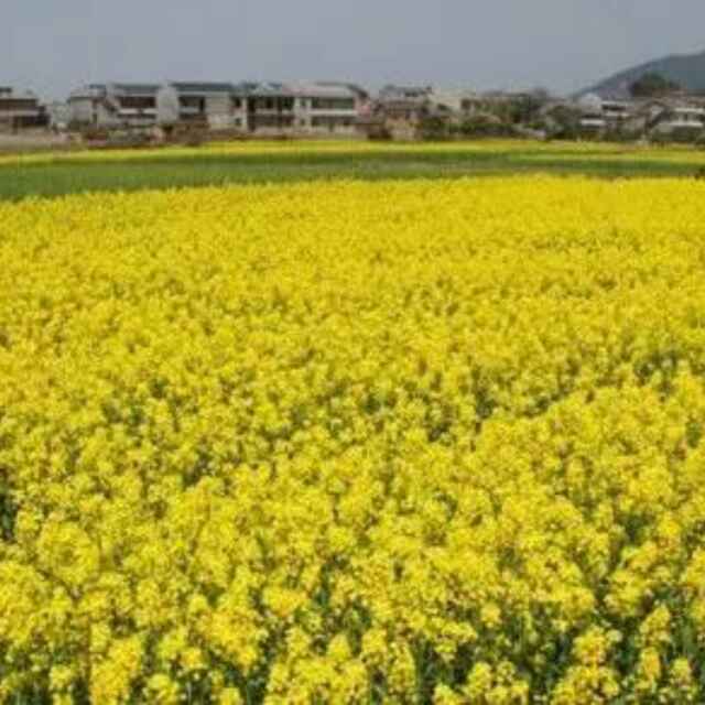 姜国荣