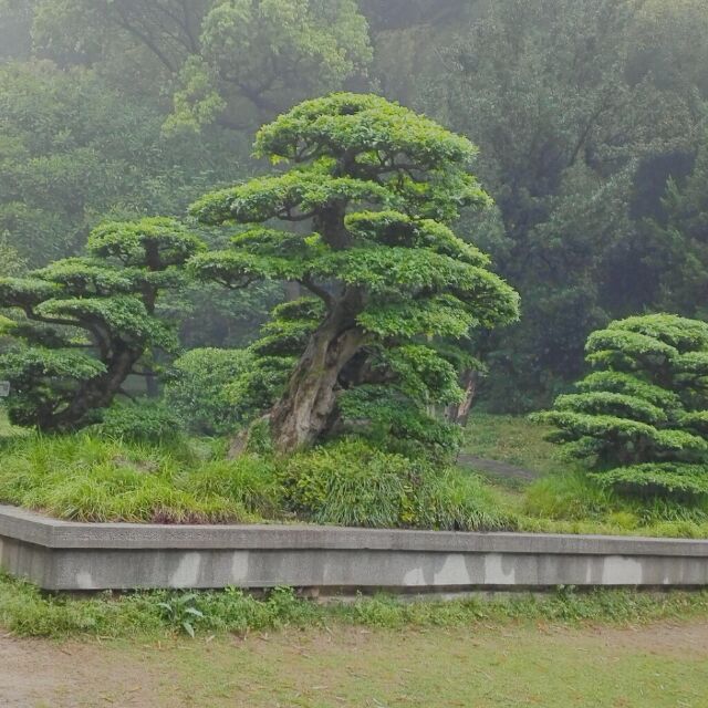 黄金山