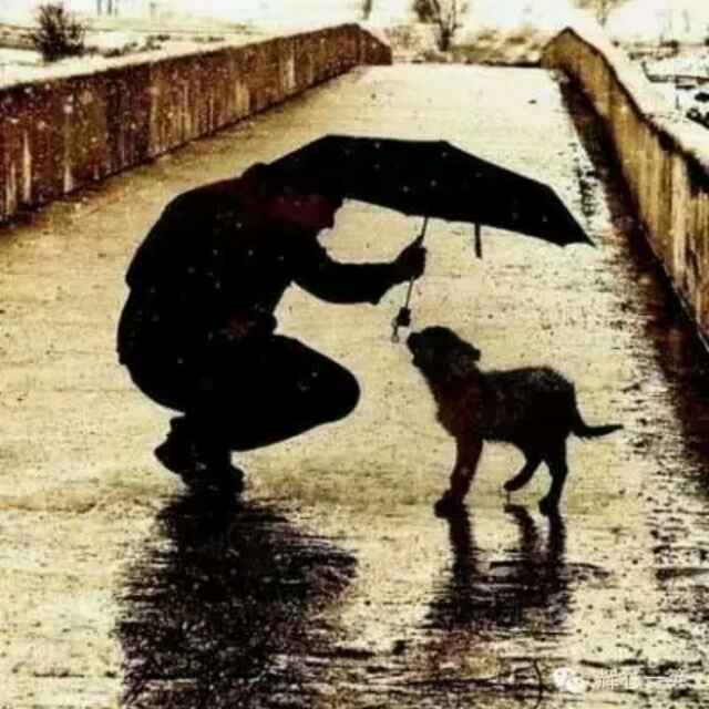 曾献伟