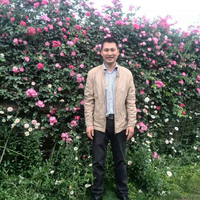 归来