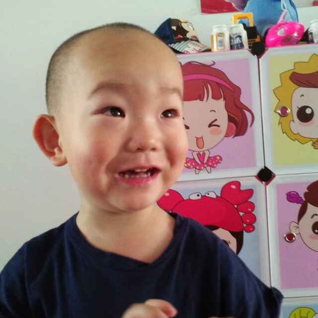 宏林木业385